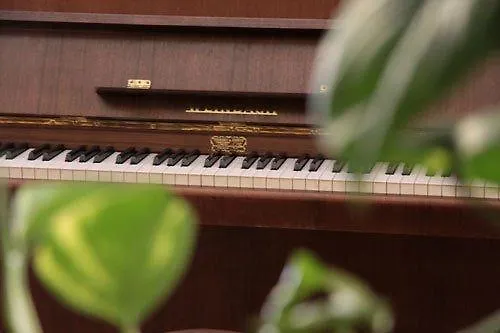 Hotel Albergo Centrale Scanno